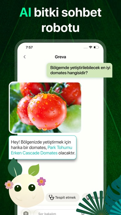 PlantAI: Tanımlayıcı ve Teşhis Resimleri