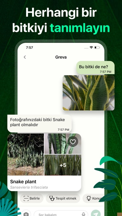 PlantAI: Tanımlayıcı ve Teşhis Resimleri