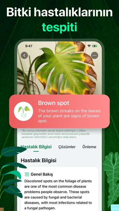 PlantAI: Tanımlayıcı ve Teşhis Resimleri
