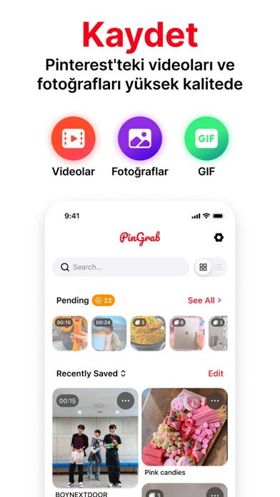 PinGrab: Pinterest Video �ndir Resimleri