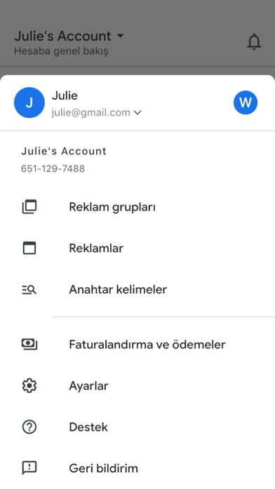 Google Ads Resimleri