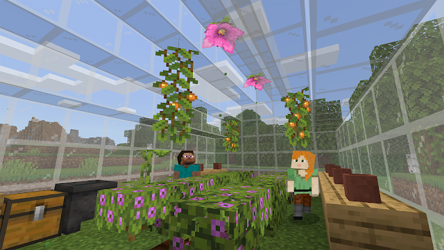 Minecraft Education Resimleri
