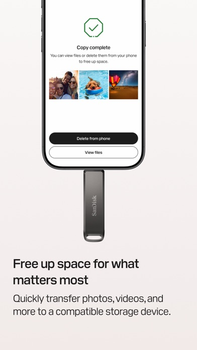 SANDISK Resimleri
