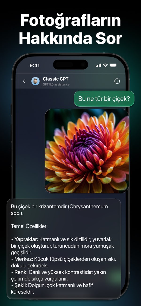 Yapay Zeka Botu Türkçe Resimleri