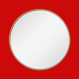 iPhone & iPad Ger�ek Ayna (True Mirror!) ikonu