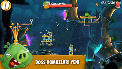 Angry Birds 2 Resimleri