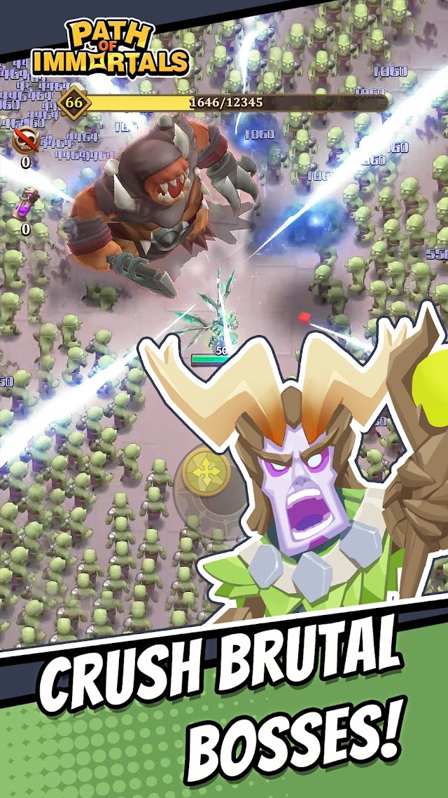 Path of Immortals: Survivor Resimleri
