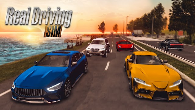 Real Driving Simulator Resimleri