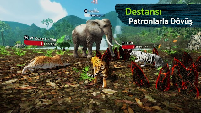 The Tiger Resimleri