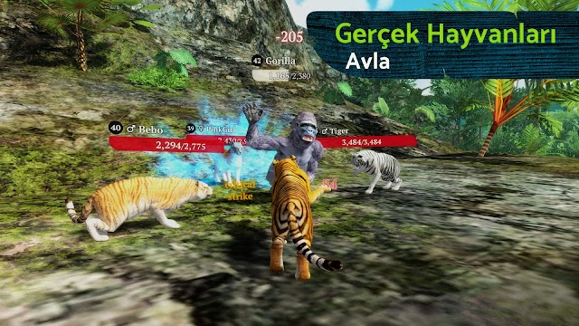 The Tiger Resimleri