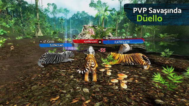 The Tiger Resimleri