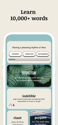 Vocabulary - Learn words daily Resimleri