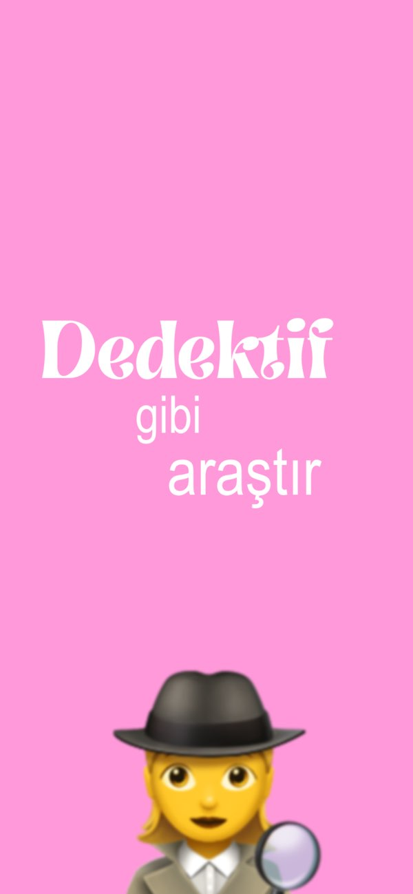 Stalkie · Mobile Detective Resimleri