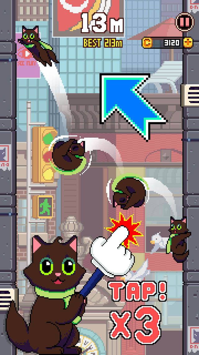 Cat Jump Resimleri