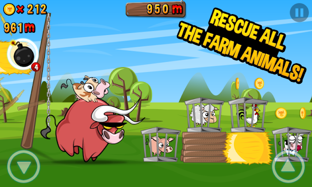 Run Cow Run - inek kaçış Resimleri