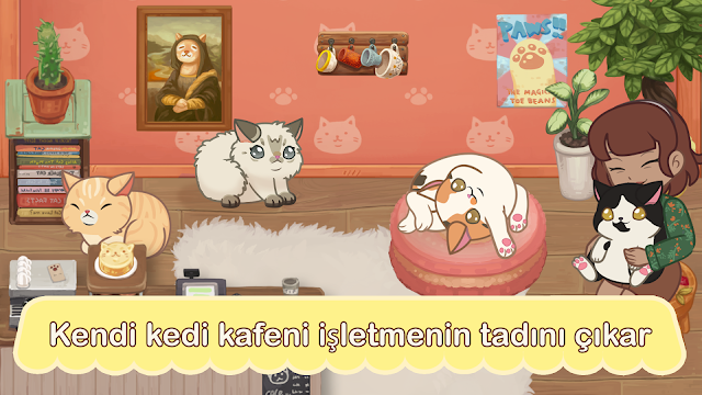 Furistas Cat Cafe Resimleri