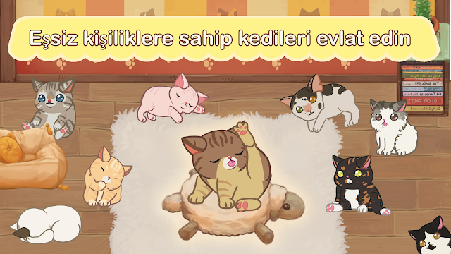 Furistas Cat Cafe Resimleri
