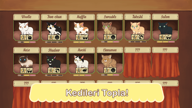 Furistas Cat Cafe Resimleri