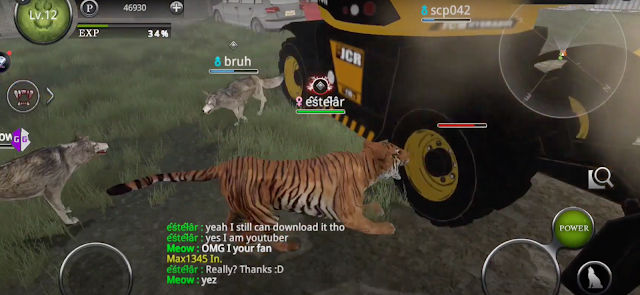 Wild Animals Online Resimleri