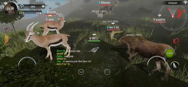 Wild Animals Online Resimleri