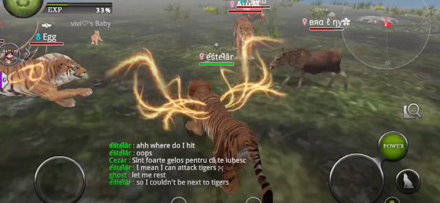 Wild Animals Online Resimleri