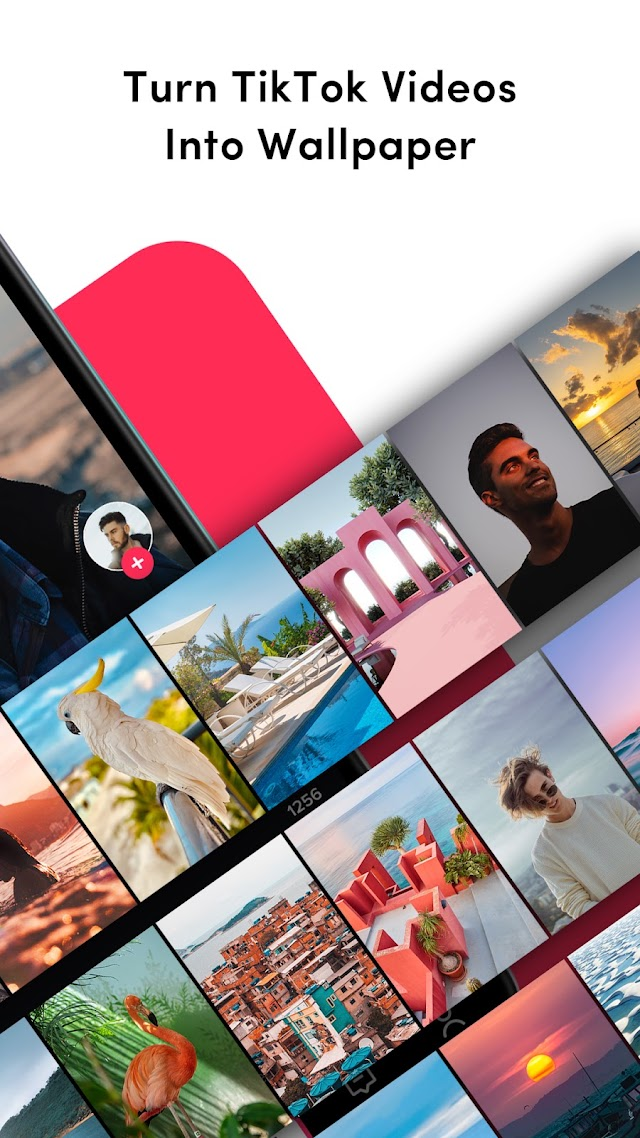 TikTok Live Wallpaper Resimleri