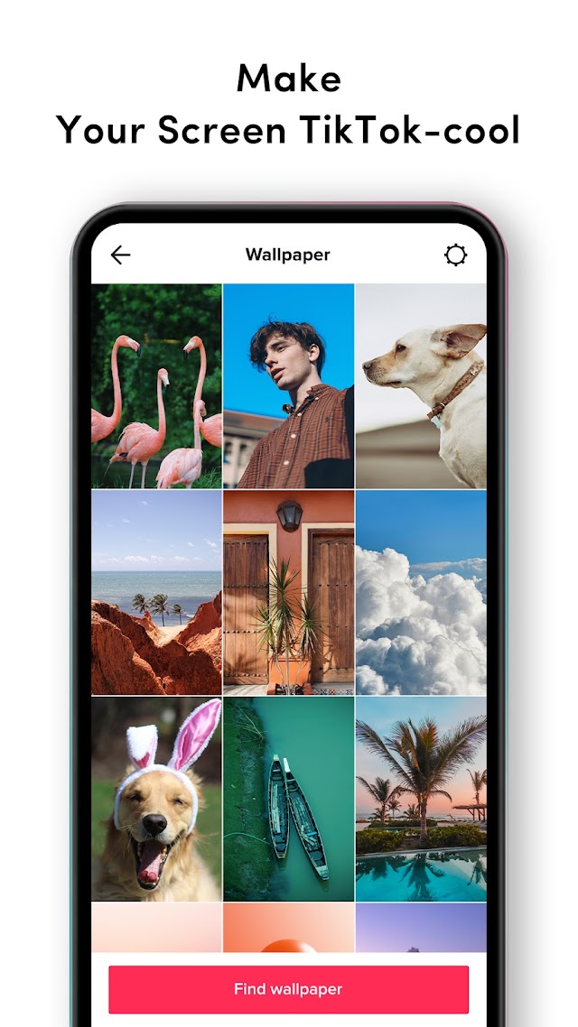 TikTok Live Wallpaper Resimleri