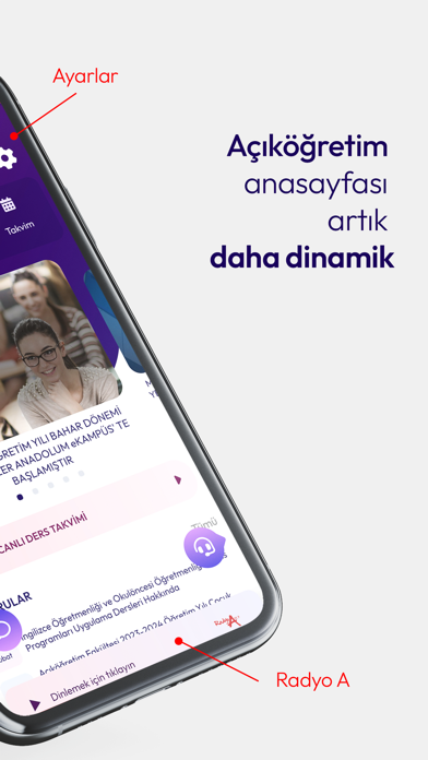 Anadolu Resimleri