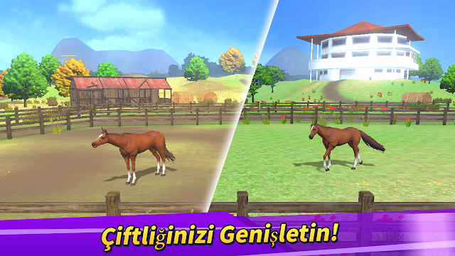 Derby Life Resimleri