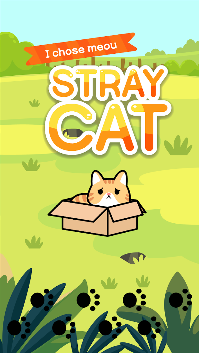 Taming a stray cat-Road kitty Resimleri