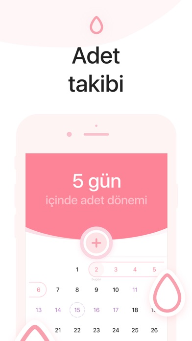 Adet Takvimim, Regl Takvimi Resimleri