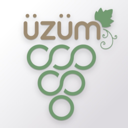 iPhone & iPad �z�m ikonu