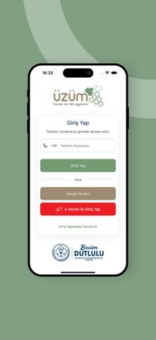 Üzüm Resimleri