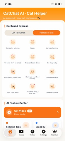 CatChat AI: Cat Care Assistant Resimleri