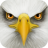 Ultimate Bird Simulator