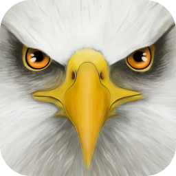 Android Ultimate Bird Simulator ikonu