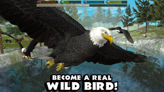 Ultimate Bird Simulator Resimleri
