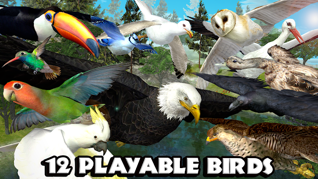 Ultimate Bird Simulator Resimleri