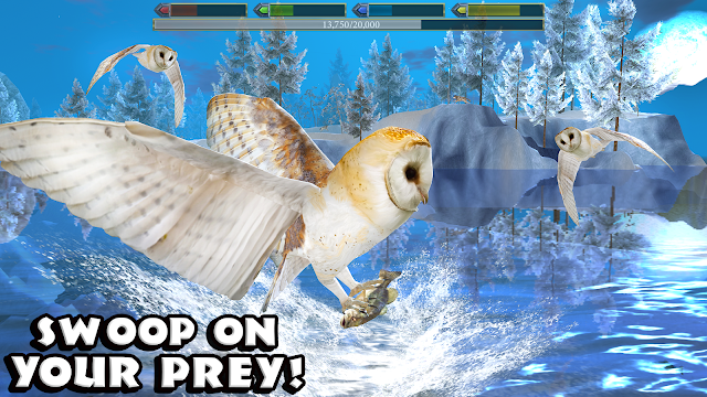 Ultimate Bird Simulator Resimleri