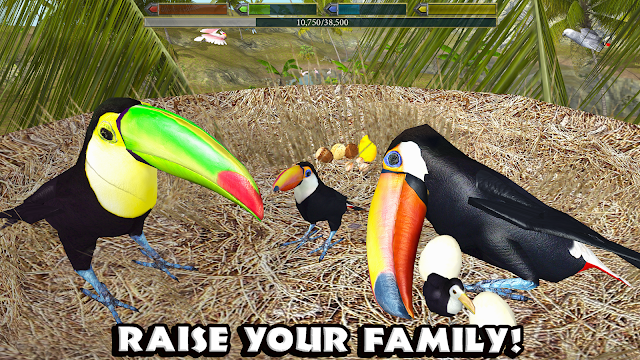 Ultimate Bird Simulator Resimleri