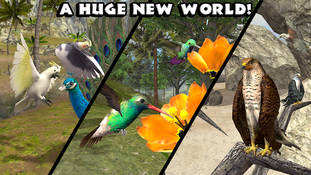 Ultimate Bird Simulator Resimleri