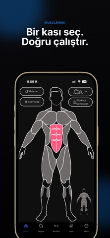 MuscleWiki: Antrenman, Fitness Resimleri