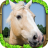 Wild Horse Simulator