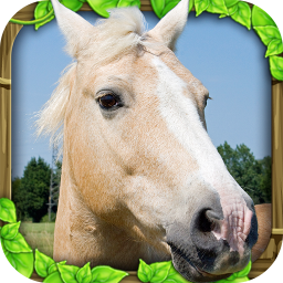 Android Wild Horse Simulator ikonu