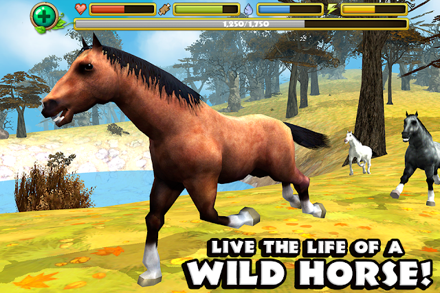 Wild Horse Simulator Resimleri