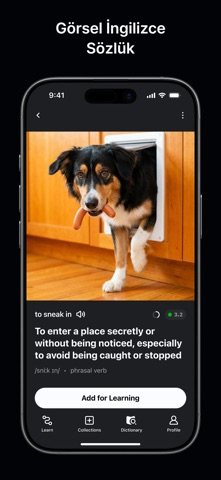 Speak & Learn English – Glite Resimleri