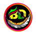 BD NET VPN
