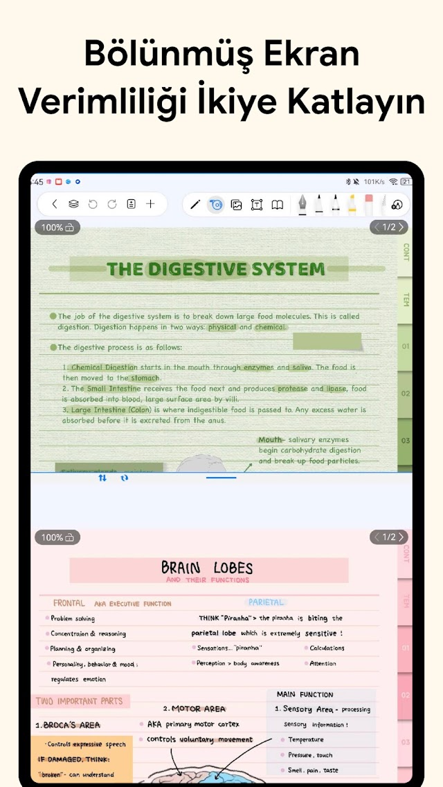 Freenotes: AI Notlar & PDF Resimleri