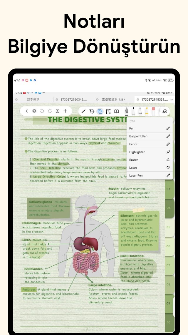 Freenotes: AI Notlar & PDF Resimleri