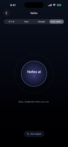 SafeSkies — Sakin Uçuş Resimleri